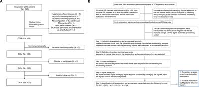 Male Patients With Dilated Cardiomyopathy Exhibiting a Higher Heart Rate Acceleration Capacity or a Lower Deceleration Capacity Are at Higher Risk of Cardiac Death